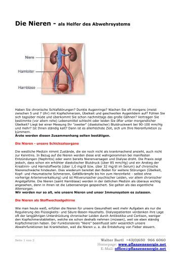 Die Nieren - als Helfer des Abwehrsystems