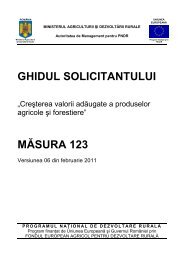 Ghidul Solicitantului - Fonduri Europene Nerambursabile