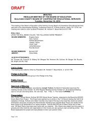 November 16, 2010 - Regular Meeting Minutes.pdf - Sullivan County ...