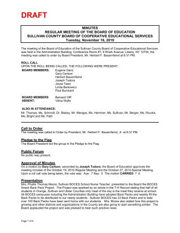 November 16, 2010 - Regular Meeting Minutes.pdf - Sullivan County ...
