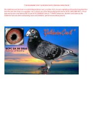 “THE GOLDMINE COCK” SA 98 05910 BCPC ... - pigeon sales