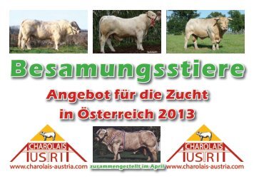 Besamungsstiere - Charolais Austria