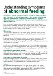 Understanding symptoms of -abnormal feeding - Ubisi Mail Magazine