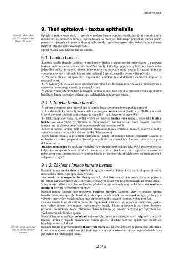 Histologie a embryologie