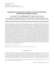 Stratigraphic and structural evolution of the Blue Nile Basin ...