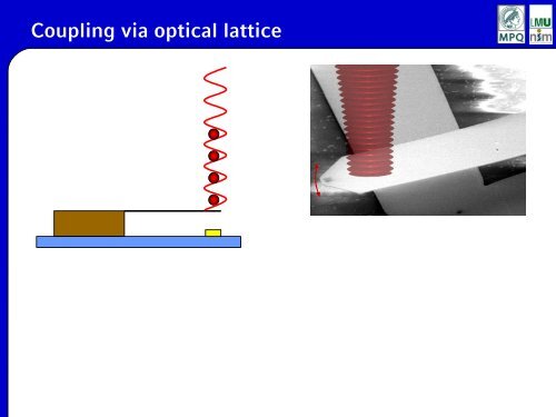 and nanomechanical resonators on an atom chip