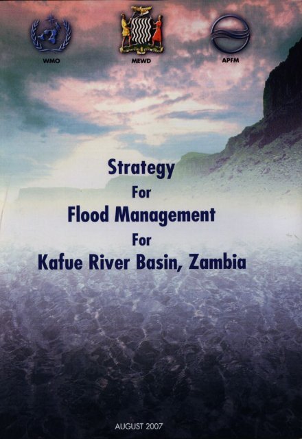 here - The Associated Programme on Flood Management