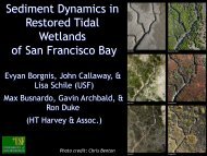 Sediment Dynamics and Vegetation Recruitment in Newly Restored ...