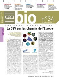 bio nÂ°34 - Direction des sciences du vivant - CEA