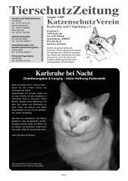 Tierschutzzeitung, Ausgabe 01/2007 - KatzenschutzVerein ...
