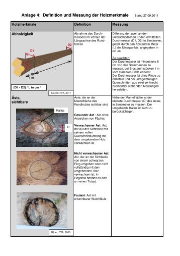 Definition und Messung der Holzmerkmale - Wald und Holz NRW