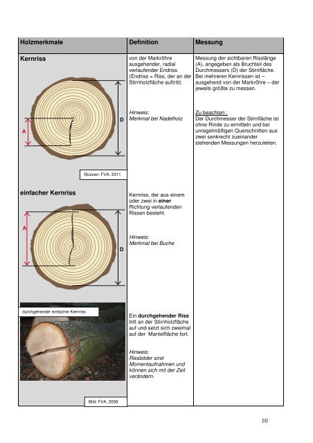 Definition und Messung der Holzmerkmale - Wald und Holz NRW