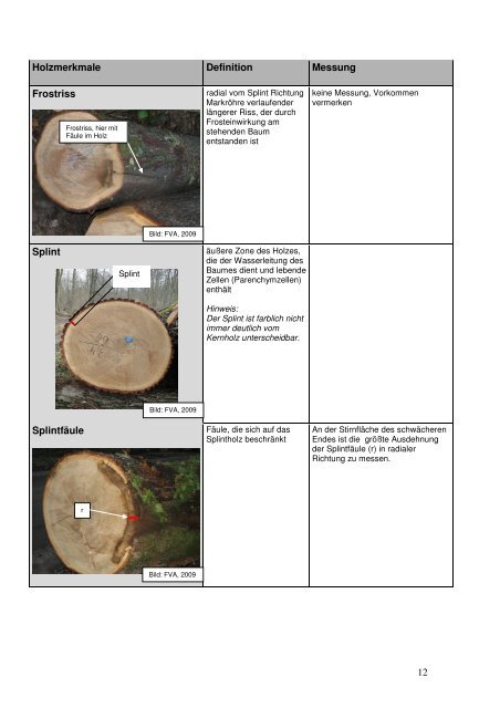 Definition und Messung der Holzmerkmale - Wald und Holz NRW