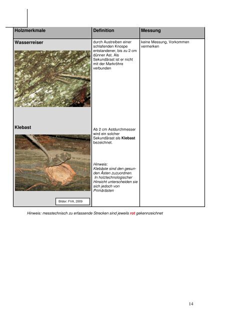 Definition und Messung der Holzmerkmale - Wald und Holz NRW