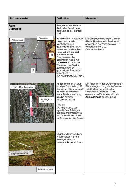 Definition und Messung der Holzmerkmale - Wald und Holz NRW