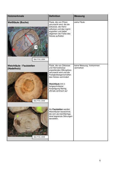 Definition und Messung der Holzmerkmale - Wald und Holz NRW