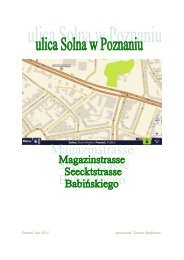 Ulica Solna w Poznaniu - Gniazdo