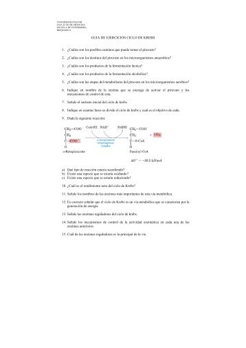 GUIA DE EJERCICIOS CICLO DE KREBS 1. - Profesora Maribel Arnes