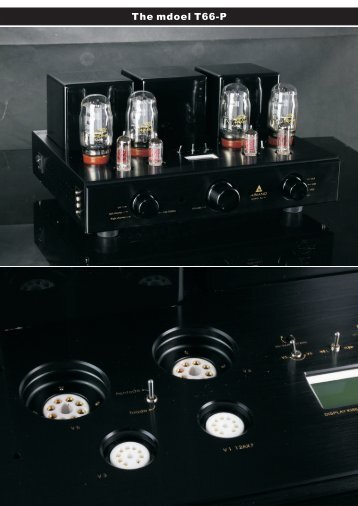 The mdoel T66-P - audio alchemy