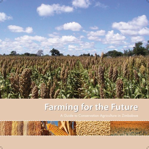 A Guide to Conservation Agriculture in Zimbabwe - Canadian ...