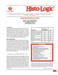 Understanding the Iron Stain - IHC World