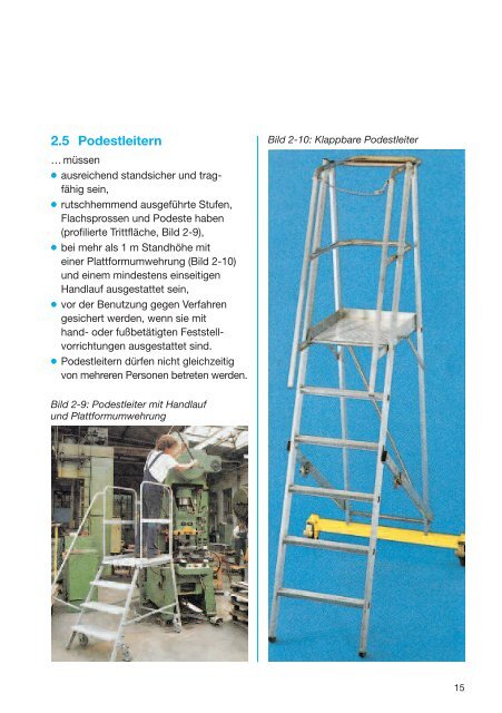 BGI 521 "Leitern sicher benutzen"