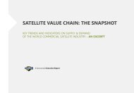 satellite-value-chain-2014-excerpt