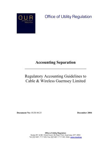 Accounting Separation Regulatory Accounting Guidelines ... - CICRA