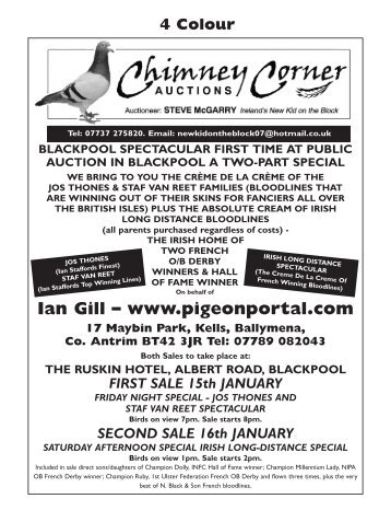 Chimney Corner - Ian Gill - Elimar Pigeon Services