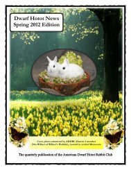 2012 Spring Issue - the American Dwarf Hotot Rabbit Club