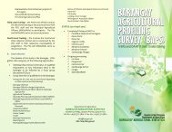 Barangay Agricultural Profiling Survey - Philippines Bureau of ...