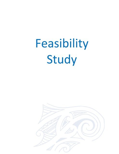 Full Feasibility Study Report - Far North District Council