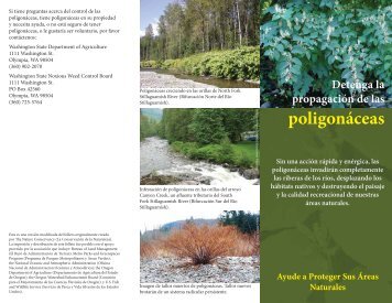 poligonáceas - Washington State Noxious Weed Control Board