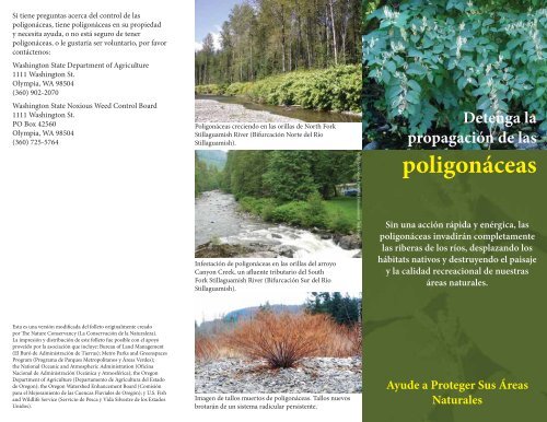 poligonáceas - Washington State Noxious Weed Control Board