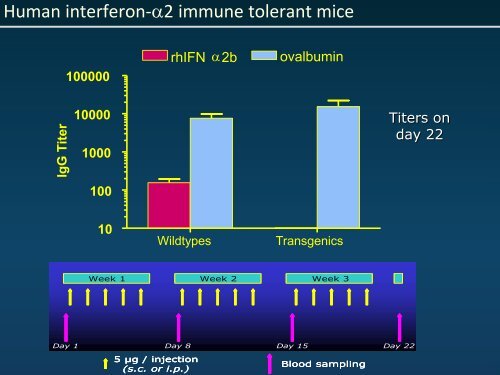 Protein Aggregation and Immunogenicity