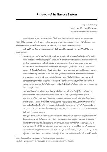 พยาธิวิทยาของระบบประสาท (Pathology of the ... - มหาวิทยาลัยนเรศวร