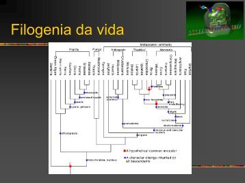 Filogenia da vida - Instituto de Biologia da UFRJ