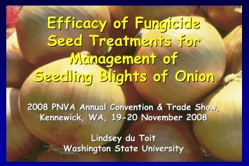 Vegetable Seed Pathology Washington State University