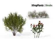 XfrogPlants | Shrubs Library