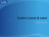 Custom Layout & Laker