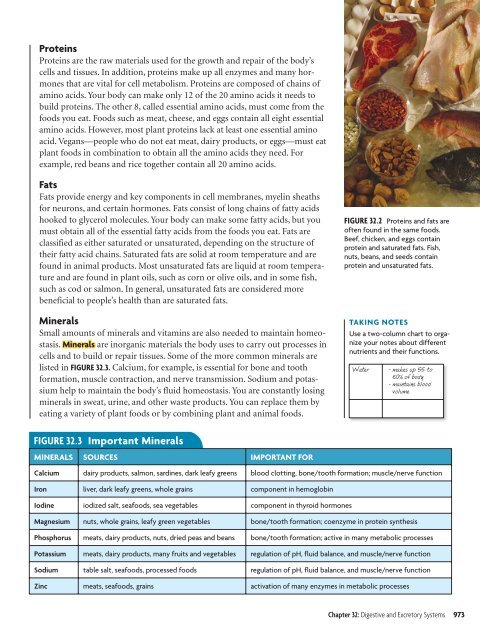 32.4 Excretory System