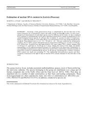 Estimation of nuclear DNA content in Sesleria (Poaceae)