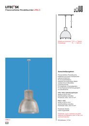 Prismenreflektor-Pendelleuchten LPDL 3 - Litec Leuchten GmbH