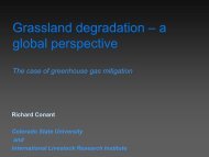 Grassland degradation
