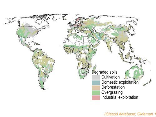 Grassland degradation