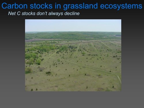 Grassland degradation