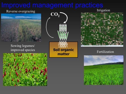 Grassland degradation