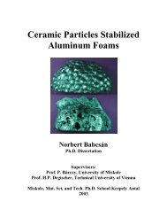 Ceramic Particles Stabilized Aluminum Foams