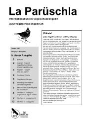 ParÃ¼schla 3 - Vogelschutz Engadin