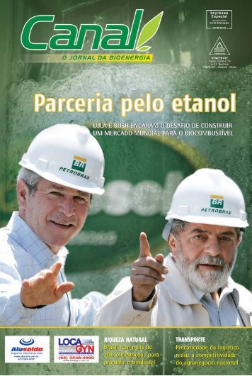Brasil tem mais de 200 oleaginosas para produzir o biodiesel Brasil ...